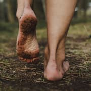 When Soil Whispers the Truth: How a Simple Chemical Test Can Solve Century-Old Mysteries