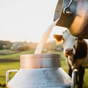 Starting Small, Dreaming Big: Shilpi Sinha’s Journey from Rs 11,000 to a Thriving Milk Startup