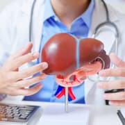 How Alcohol Damages the Liver: New Study Reveals the Missing Link