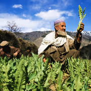 From Poppy to Port: How Pakistan Launders Drug Profits Through Strategic Infrastructure