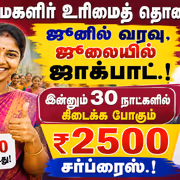 Magalir Urimai Thogai: ஜூனில் வரவு, ஜூலையில் ஜாக்பாட்.! இன்னும் 30 நாட்களில் கிடைக்க போகும் ரூ.2,500 சர்ப்ரைஸ்.!