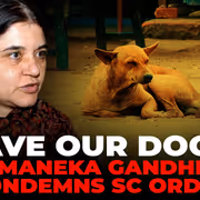 Maneka Gandhi Condemns SC Order on Shifting Stray Dogs in Delhi-NCR