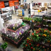 Home Depot, Lowe's To Report Earnings This Week: Retail Traders Stay Hopeful Despite Fears Of Price Hikes, Outlook Cut 