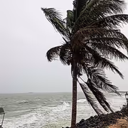 Cyclone Ditwah: 47 flights cancelled at Chennai Airport amid alert