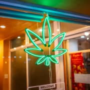 Retail Bulls Pile Into Cannabis Stocks On Reports Trump May Reclassify Marijuana; Traders Eye Aurora Rally