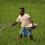 Coromandel Hits Record High, SEBI RAs See Rally Continuing Toward ₹3,000