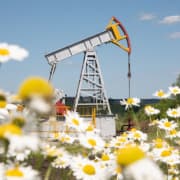 Oil Prices Gain After OPEC+ Pauses Output Hike — Analyst Says Focus Shifts To Price Stability