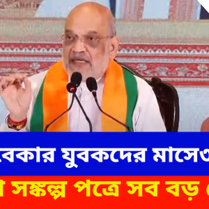 Amit Shah BJP Manifesto: মহিলা, বেকার যুবকদের মাসে ৩ হাজার, বিজেপি সঙ্কল্প পত্রে সব বড় ঘোষণা