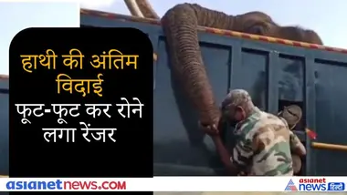 हाथी को अंतिम विदाई देते हुए फूट-फूट कर रोने लगा रेंजर, इसे देखने के बाद हर किसी की नम हो गई आंखें
