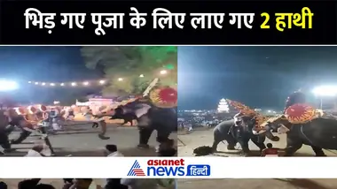 हमलावर हुए दो हाथी और केरल के अरातुपुझा उत्सव में मच गई भगदड़- Watch Video