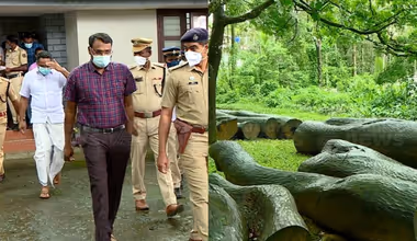 മുട്ടിൽ മരംമുറി കേസ്; അഗസ്റ്റിൻ സഹോദരങ്ങൾക്ക് കനത്ത തിരിച്ചടി; ചോറ്റാനിക്കര കോടതി വിചാരണ തടയണമെന്ന ഹർജി ഹൈക്കോടതി തള്ളി