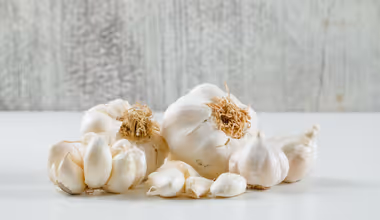 Garlic Vastu Tips : लसूण फक्त आरोग्यासाठी नाही, तर घरात पैसा आणि सुख-शांतीही आणतो; हे वास्तू उपाय करून पाहा