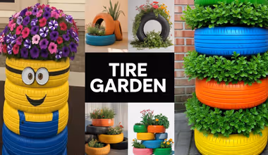 Gardening Ideas: जुन्या टायरने बदला बाल्कनीचा लुक, 'या' झाडांसाठी टायर प्लांटर आहे बेस्ट!