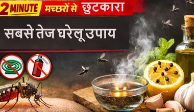 Machar Bhagane Ka Tarika: बिना कॉइल-स्प्रे 2 मिनट में मच्छरों से छुटकारा, जानें सबसे आसान तरीका