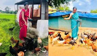 छत्तीसगढ़: गांव की दीदियों ने कर दिखाया कमाल! बखरी से हर महीने 25 हजार की कमाई