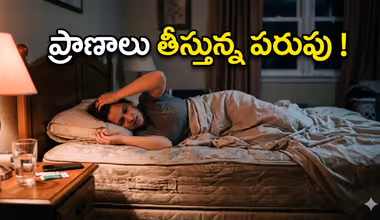 Mattress : మ్యాట్రెస్ కు ఎక్స్పైరీ డేట్ ఉంటుందని తెలుసా? ఎప్పుడు మార్చాలి?