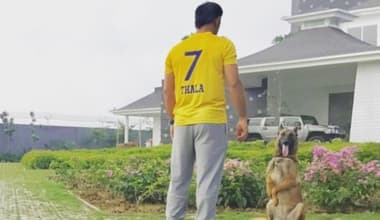 Dhoni Injury : ధోనికి మళ్లీ గాయం... ఇక ఐపిఎల్ కు గుడ్ బై చెప్పినట్లేనా..?