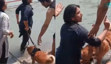 Haridwar Viral Video: ಯಾತ್ರಾ ಸ್ಥಳವೆಂದು ನೋಡದೆ ಪವಿತ್ರ ಗಂಗಾ ನದಿಯಲ್ಲಿ ನಾಯಿಗೆ ಸ್ನಾನ ಮಾಡಿಸಿದ ಯುವತಿ