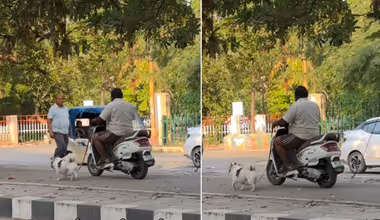 Lucknow Viral Video: लखनऊ का अनोखा डॉग-वॉक वायरल, यूजर्स बोले- ऐसा सिर्फ नवाबों के शहर में हो सकता है