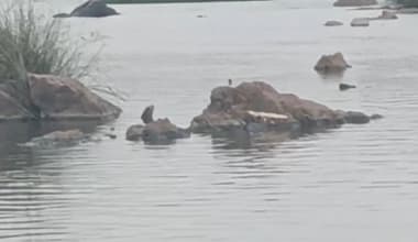 ಕದ್ದು ಮುಚ್ಚಿ ತಮಿಳುನಾಡಿಗೆ ನೀರು : ರೈತರ ಆರೋಪ