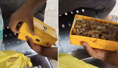 UP Man Uses Mobile Phone Box As Tiffin, Viral Video Leaves Friends Laughing (WATCH)