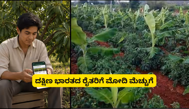 ಯುವ ರೈತನ ಅದ್ಭುತ ಪ್ಲ್ಯಾನ್! ಯೂಟ್ಯೂಬ್ ನೋಡಿ ಲಕ್ಷ ಲಕ್ಷ ಲಾಭ, ಇಲ್ಲಿ ಸೀಕ್ರೆಟ್!