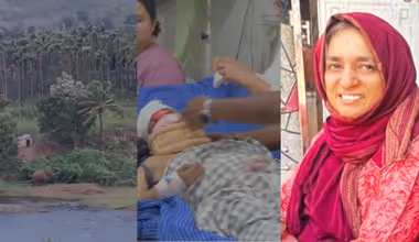 അട്ടപ്പാടിയിൽ കാട്ടാനയുടെ ആക്രമണത്തിൽ പരിക്കേറ്റ വിനോദ സഞ്ചാരിയായ സ്ത്രീ മരിച്ചു, പുഴയിലിറങ്ങിയത് മുന്നറിയിപ്പ് അവഗണിച്ച്