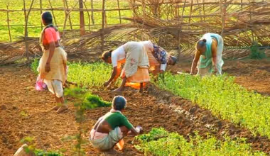 ರೈತರಿಗೆ ₹2500 ಬರ ಪರಿಹಾರ ಮಂಜೂರು - 226 ಬರಪೀಡಿತ ತಾಲೂಕಿನ ಬೆಳೆ ನಷ್ಟ ಅನುಭವಿಸಿದ ರೈತರಿಗೆ ಸಂದಾಯ