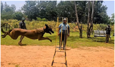 ವನ ವೈಭವ : ದೇಶದಲ್ಲೇ ಮೊದಲ ಅರಣ್ಯ ಶ್ವಾನಪಡೆ ಕರ್ನಾಟಕದಲ್ಲಿ