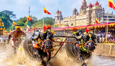 ಮೈಸೂರಲ್ಲಿ ಐತಿಹಾಸಿಕ ಕಂಬಳ ಶುರು -ಈ ವರ್ಷ ಕಂಬಳ ಕ್ರೀಡಾಕೂಟ ಸೇರ್ಪಡೆ