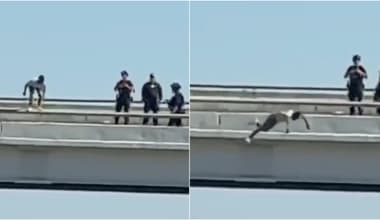 Tragedy in Dallas: Man Dies After Jumping From Overpass Following SWAT Standoff, Video Goes Viral