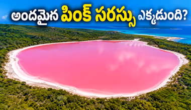Pink Lake: ప్రపంచంలోనే అందమైన పింక్ సరస్సు ఎక్కడుంది? ఆ నీరు గులాబీ రంగులో ఉండటానికి కారణం ఏంటి?