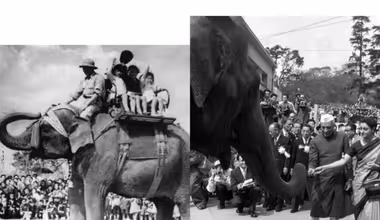 Japan's Children's Day: India recalls 'jumbo' gift from 7 decades ago