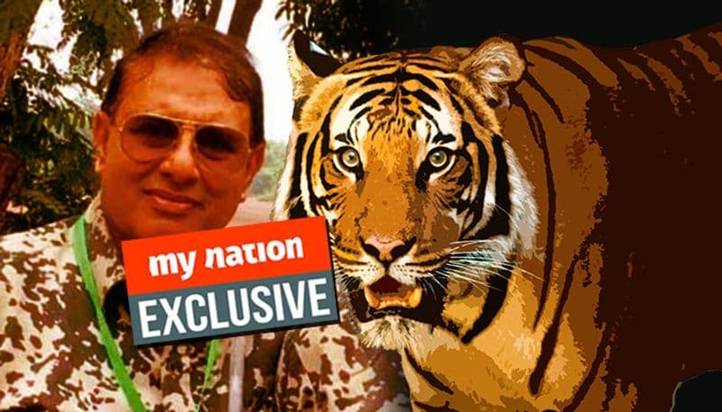 Among Avni's killers, one admits tigress was killed without attempts of tranquilising