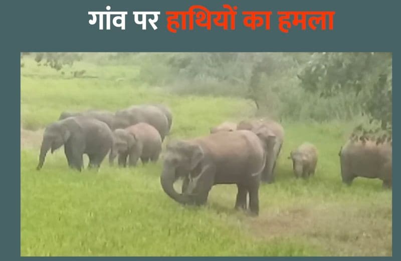 हाथियों ने किया गांव पर हमला