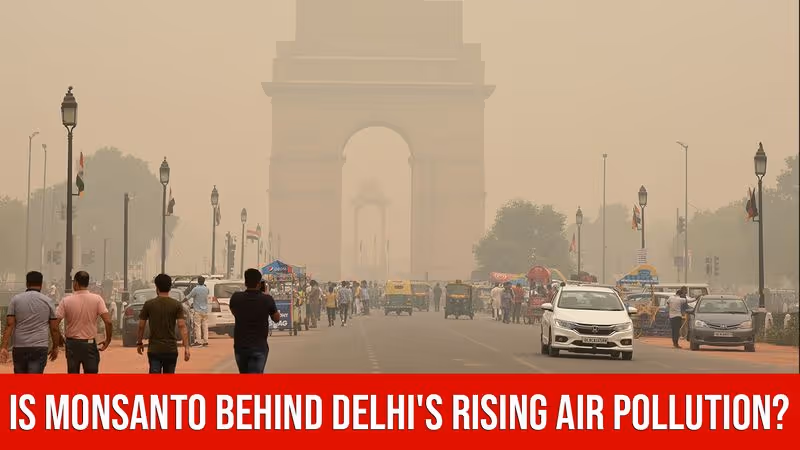 Is Monsanto Behind Delhi's Rising Air Pollution?