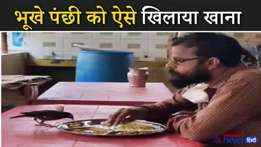 अपनी थाली से ही भूखे पंछी को शख्स ने खिलाया खाना, दिल छू लेने वाला वीडियो आया सामने