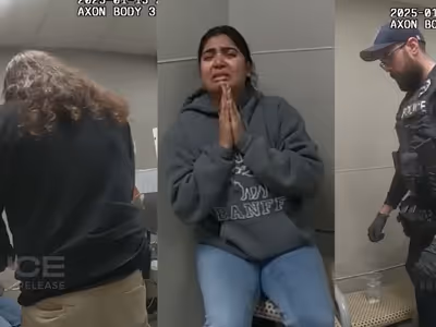 Gujarat Lady stolen in America