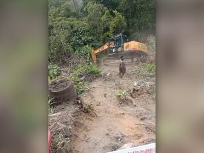 thamaraassery churam traffic restriction today due to excavator accident