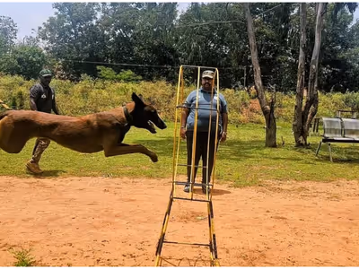 Karnataka forest dog squad