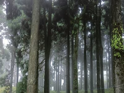 darjeeling kalimpong weather winter north bengal