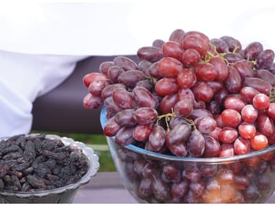 California grapes in Karnataka