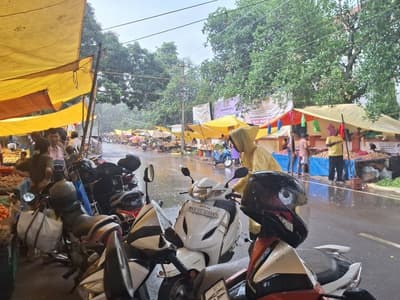 Rain