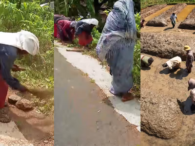 thozhilurapp