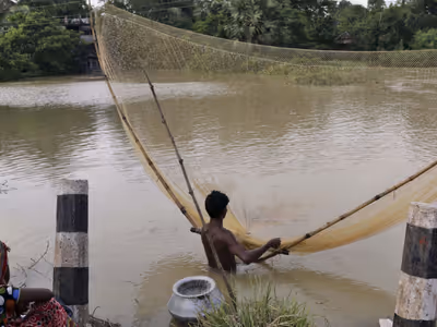 Election Violence is Over Now Conflict in West Bengal for Control of Fishing Ponds