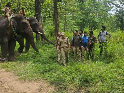 wild elephant attacks spread fear in wayanad villages