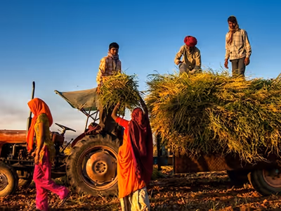 Punjab Farmers