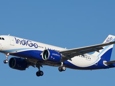 Indigo Flight