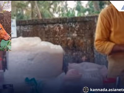 Mangaluru FIR Against Trader Umar for Brutally Stabbing Cow s Mouth in Edapadavu