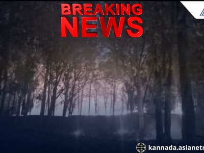 Magadi Fire Tragedy Eucalyptus Plantation Burnt Local Heroes Save the Day